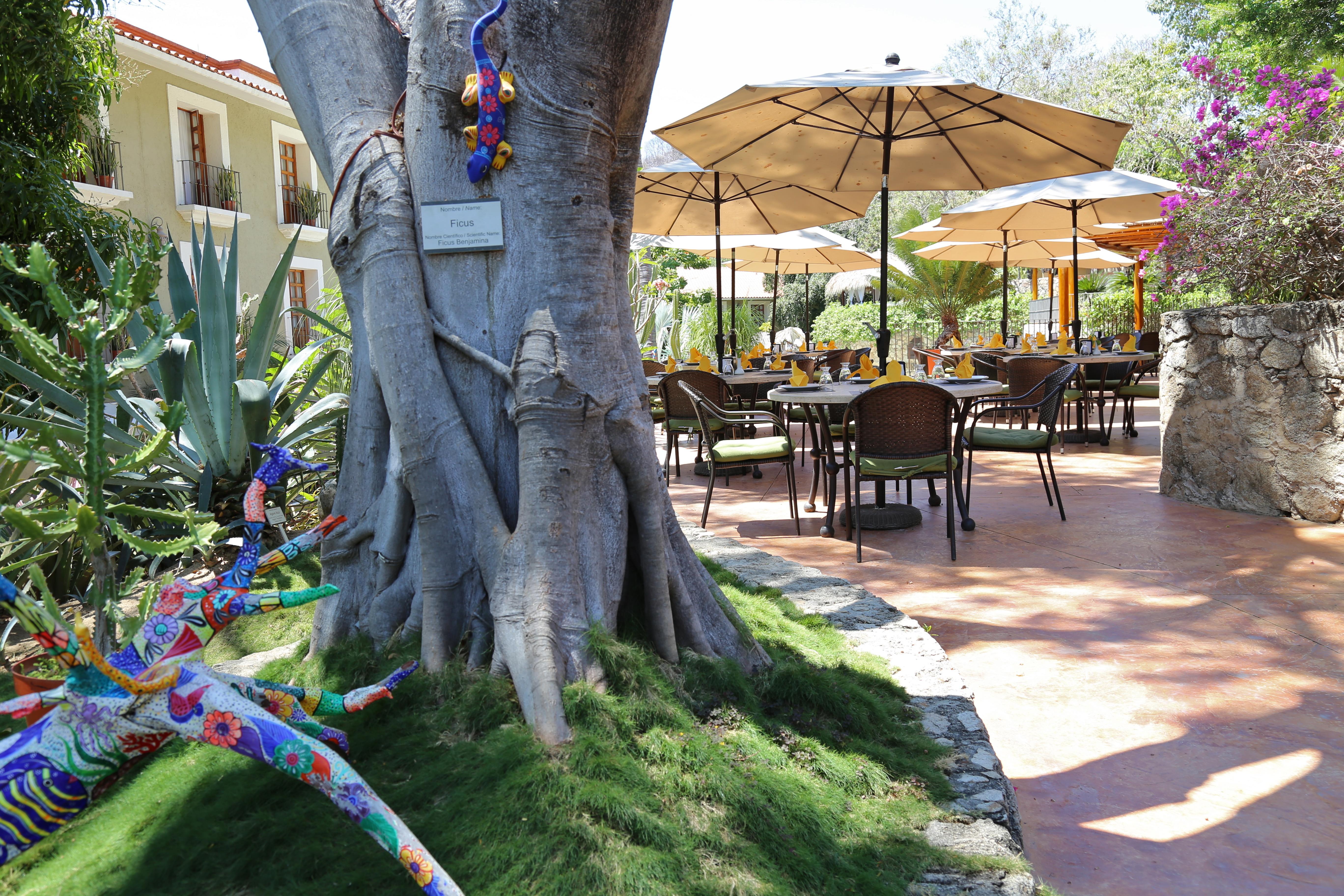 Binniguenda Huatulco & Beach Club Eksteriør bilde